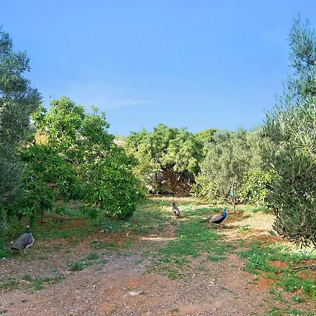 Casa Las Toscas-3